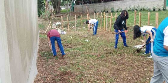 Da continuidad la Dirección de Ecología a huertos escolares