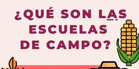 ¿Sabías que…?