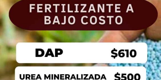 Pone fomento agropecuario en coordinación con Gobierno de Teocelo fertilizantes a bajo costo