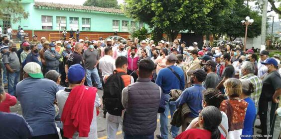 La acreditación permitirá la compra venta de café en Teocelo: Anell Reyes