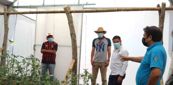 Parcelas escolares una forma sustentable de realizar agro-negocios: Anell Reyes