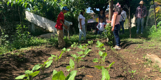 Concluye con éxito curso Infantil, implementado por DIF y Desarrollo Sostenible