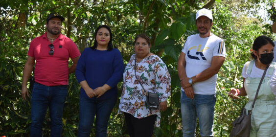 Visitan autoridades municipales de Córdoba la planta de lombricompostaje