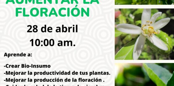 Curso de Bio-insumo para fomentar la floración