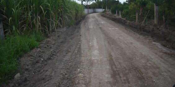 rehabilitación de caminos “Saca Cosechas”