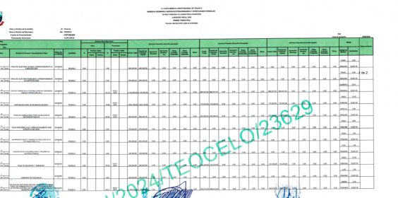 PRIMER REPORTE TRIMESTRAL DE FORTAMUNDF 2024