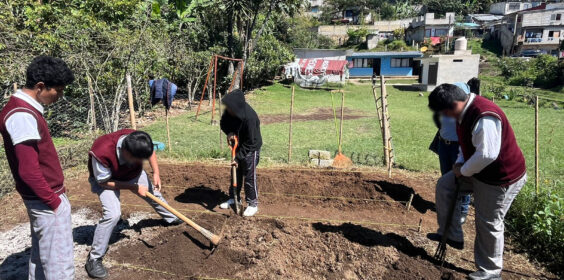 Continúa la dirección de Medio Ambiente y Desarrollo Sostenible con el proyecto de huertos escolares.