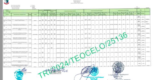 TERCER REPORTE TRIMESTRAL DE FAISMUN 2024