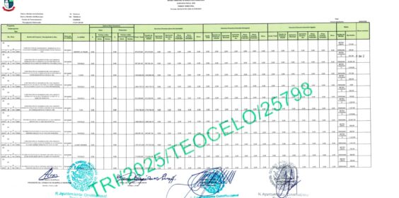 PRIMER REPORTE TRIMESTRAL DE FAISMUN 2025